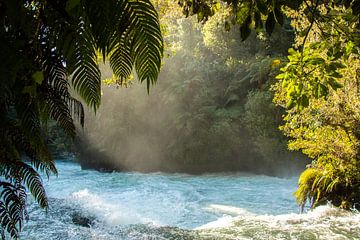 Ōkere Falls, Rotorua, Nieuw Zeeland van Nynke Altenburg