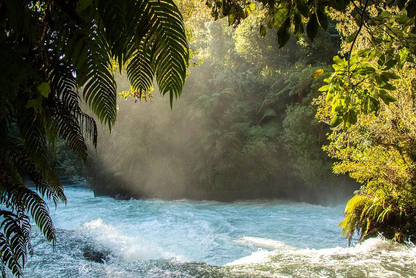 Ōkere Falls, Rotorua, New Zealand by Nynke Altenburg