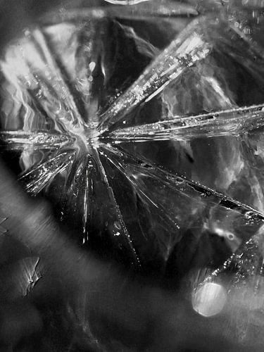 APPAREIL PHOTO NUMÉRIQUE OLYMPUS