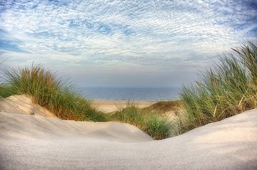 Doorkijkje door het helmgras naar de zee van Fotografie Egmond