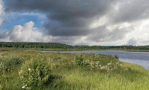 am Dreifelder Weiher in der Westerwälder Seenplatte