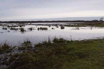 De Muy im Winter, Texel von Monique Giling