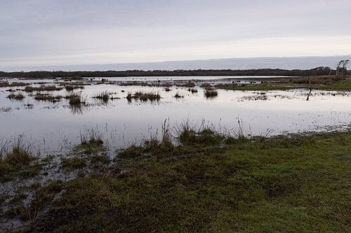 De Muy in winter, Texel