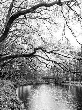 Zwart wit Bomen Landschap 2 van Alie Ekkelenkamp