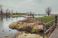 IJssel ferry at Bronckhorst Gelderland
