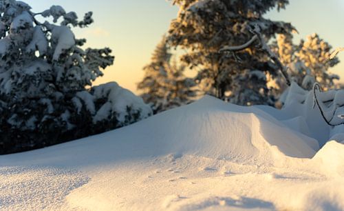 Petites dunes de neige éclairées par le soleil couchant