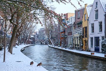De Twijnstraat aan de Werf op een winterdag, aan de Oude Gracht in Utrecht