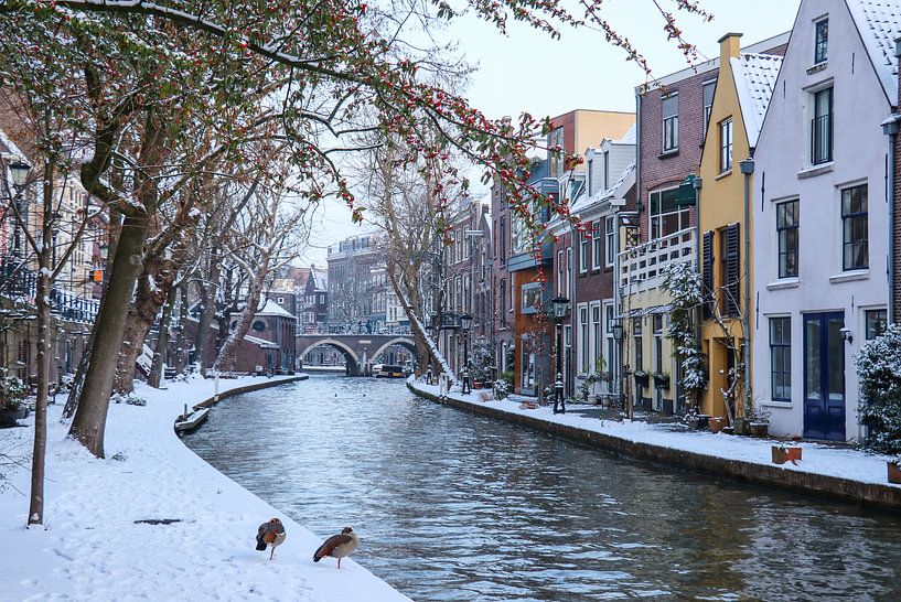 De Twijnstraat aan de Werf op een winterdag, aan de Oude Gracht in Utrecht van Arthur Puls Photography