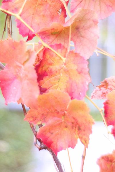 Herbst von Marianna Pobedimova