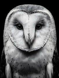 Kerkuil - Stille blik in de nacht van drdigitaldesign