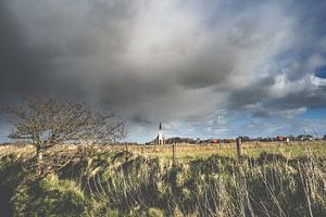Niederländische Landschaft bei Den Hoorn auf Texel
