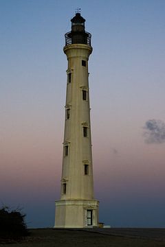 California Lighthouse, Aruba by Talitha Blok