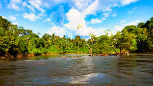 Das Naturschutzgebiet liegt am Kabalebo-Fluss im Westen von Suriname.