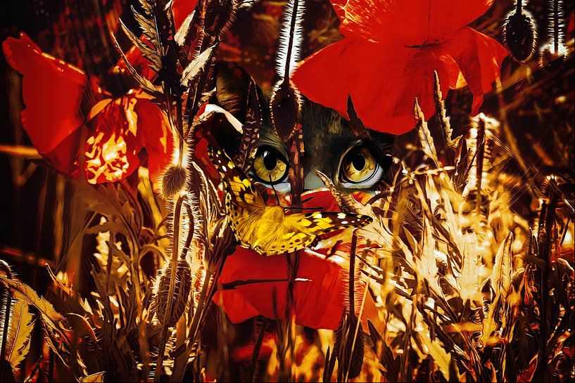 Un papillon, des coquelicots et un chat par Helga Blanke