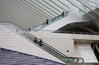 escalators by Jim van Iterson thumbnail