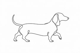 A love of dachshunds in a flowing line by Patrick Wittling