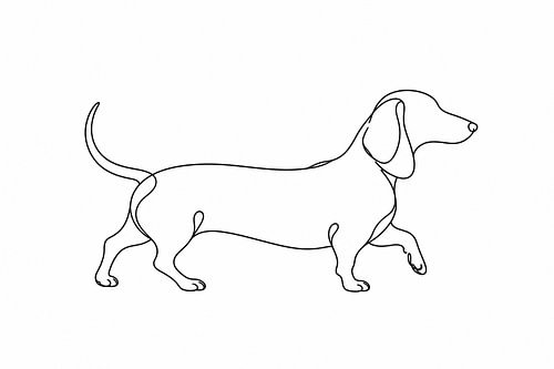 A love of dachshunds in a flowing line