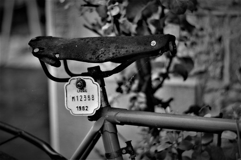 Altes Fahrrad von Joel Houbrigts