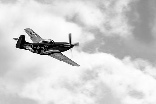 North American P-51D Mustang