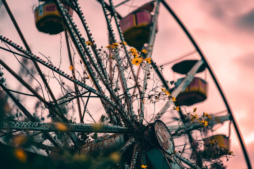 Reuzenrad met bloemen in het avondlicht van Poster Art Shop