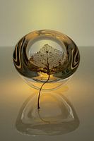 Nature morte moderne en verre 1 Basic Design. Impressionisme
