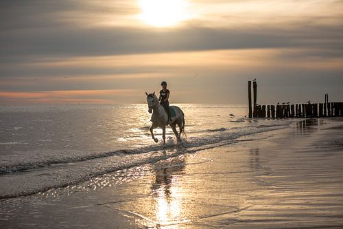 Ruiter en paard bij zonsondergang aan de Zeeuwse kust