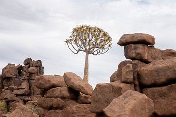 giants playground 1 von grossberger.photo