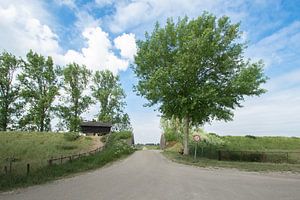 coupe de la digue Johannes kerkhoven polder