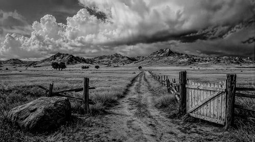 Weg naar de horizon