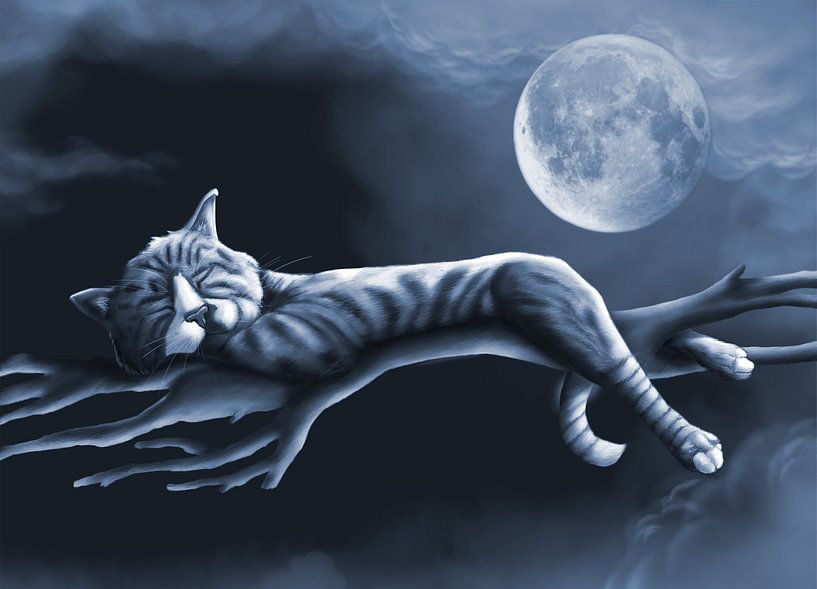 Slapende Kat in Maanlicht van Nathalie Antalvari