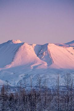 Island | blau und lila | Schnee | Winter von Femke Ketelaar