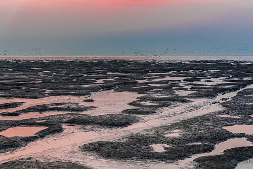 Pastelkleuren op het Wad bij laag water.