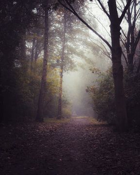 Mistige ochtend in het bos van Pensierino by Barbara