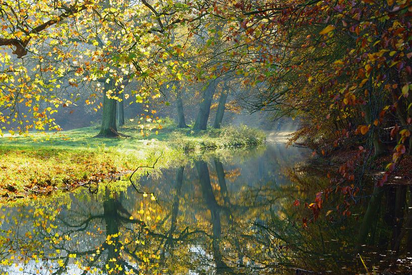 Herfst op Landgoed Elswout par Michel van Kooten