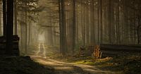 De wandeling