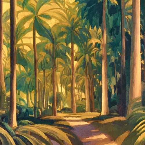 Schatten und Sonnenlicht in einem tropischen Stadtpark