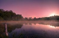 Paysage de landes, petit lac le matin