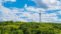 TV toren van stuttgart stad skyline omgeven door groene bos in de zomer panorama
