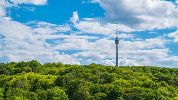Fernsehturm der Stuttgarter Stadtsilhouette umgeben von grünem Wald im Sommerpanorama von adventure-photos
