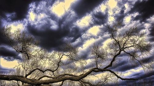 Takken in een storm