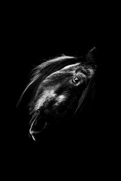 Ombres de beauté - Cheval noir dans une lumière contrastée sur Femke Ketelaar