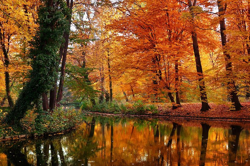 Autumn by Violetta Honkisz