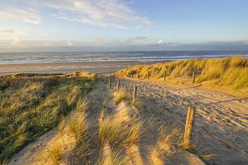 Dünen und Strand an der Küste der Niederlande von Dirk van Egmond