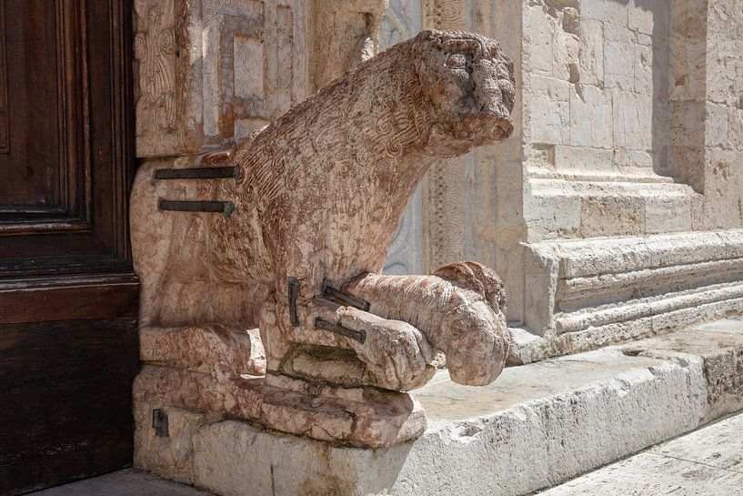 Lion devant la porte de la cathédrale San Rufino à Assise, Italie par Joost Adriaanse