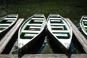 Im Doppelpack am Hintersee