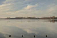 winter in the Dobbenplas