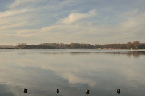 winter in the Dobbenplas