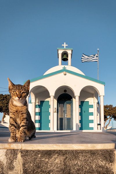 Les chats des Cyclades par Heiko Meier
