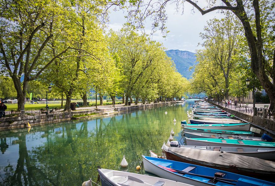 Annecy canoes