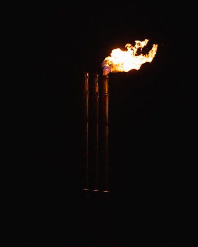 Créature de feu sur Tom Derwort Photography